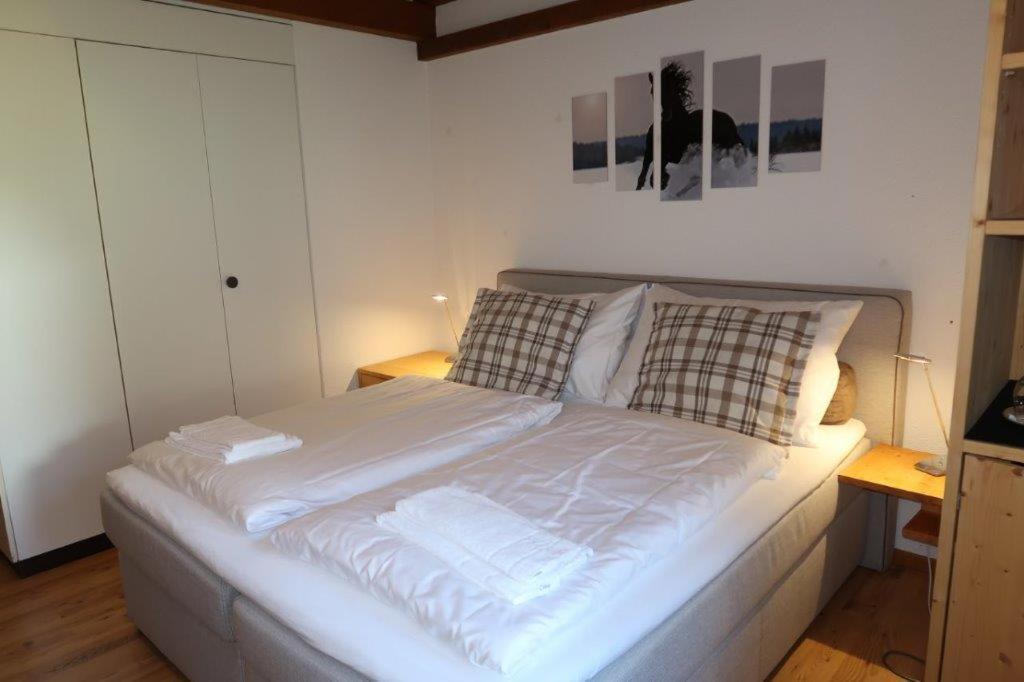 Hotel Surselva Surcuolm Εξωτερικό φωτογραφία